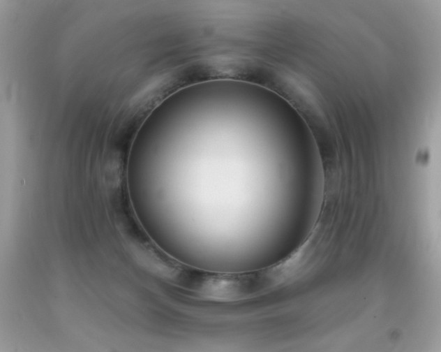 X0000091860174200709051215