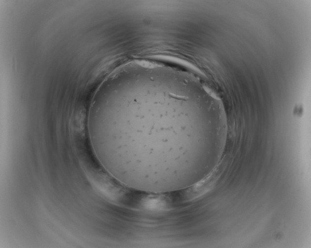 X0000091860175200709051215