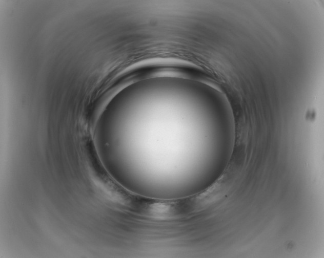 X0000091860176200709051216