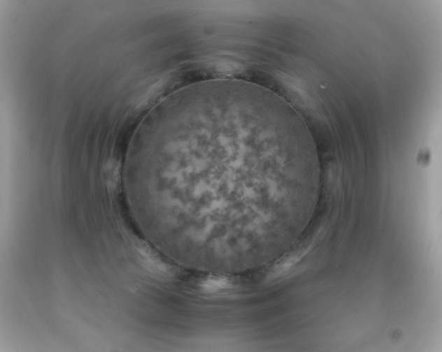 X0000091860177200709051216