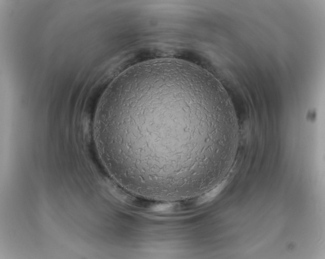 X0000091860178200709051216