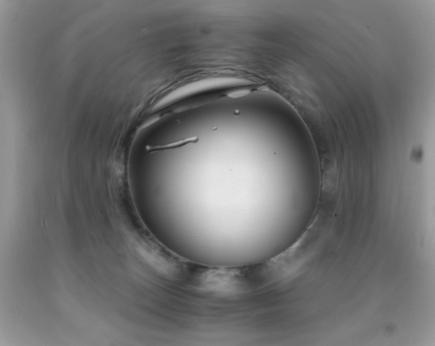 X0000091860179200709051216