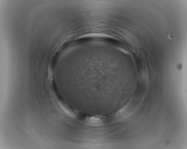 X0000091860180200709051216