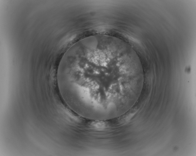 X0000091860181200709051216