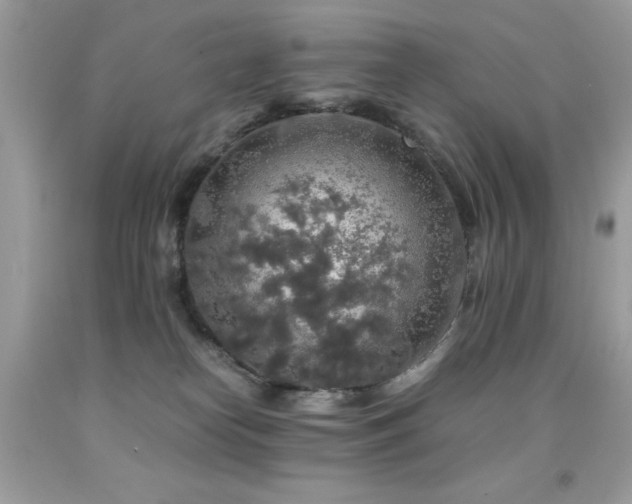 X0000091860182200709051216