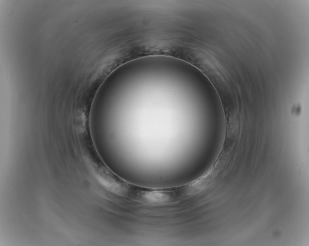 X0000091860183200709051216