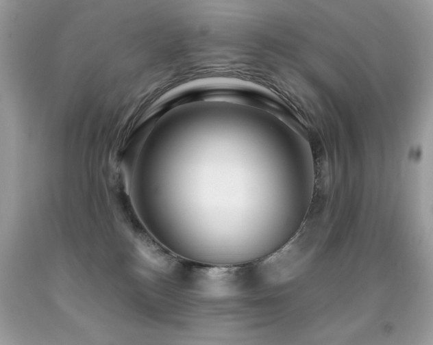 X0000091860184200709051216