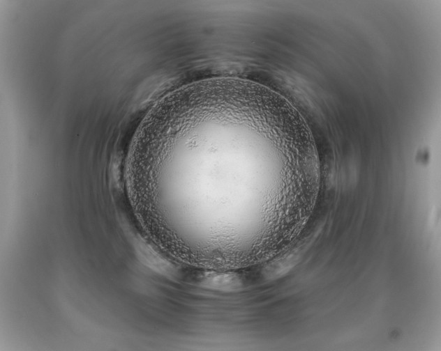 X0000091860185200709051216