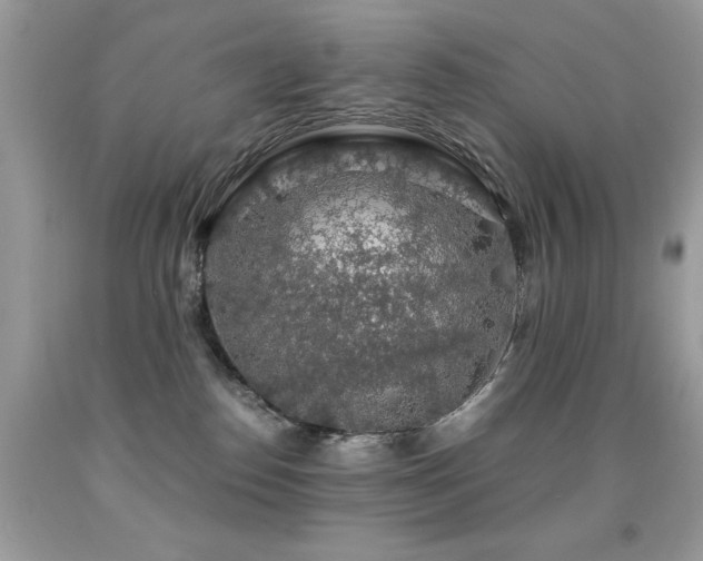 X0000091860186200709051216