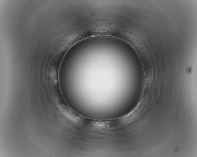 X0000091860187200709051216