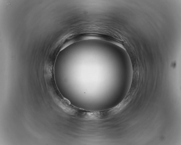 X0000091860188200709051216