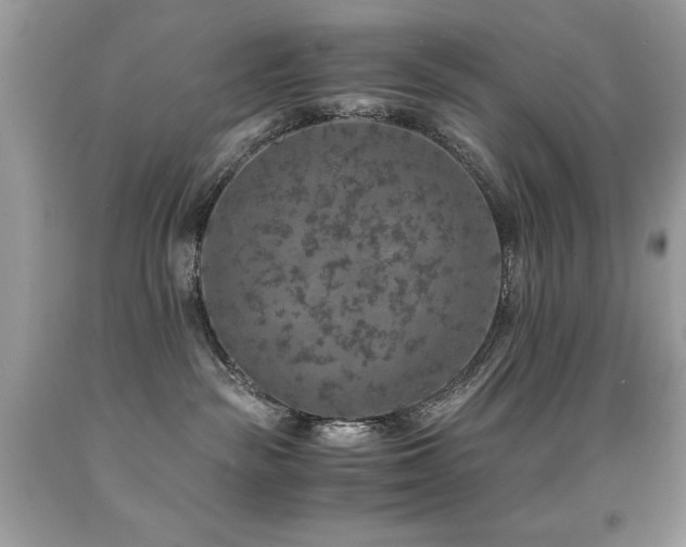 X0000091860189200709051216