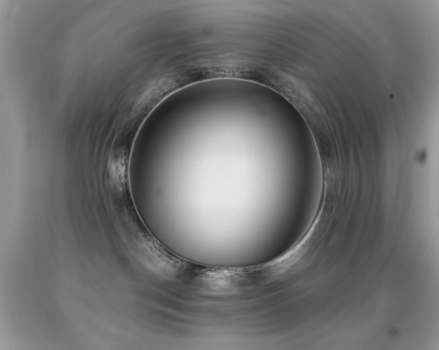 X0000091860190200709051216