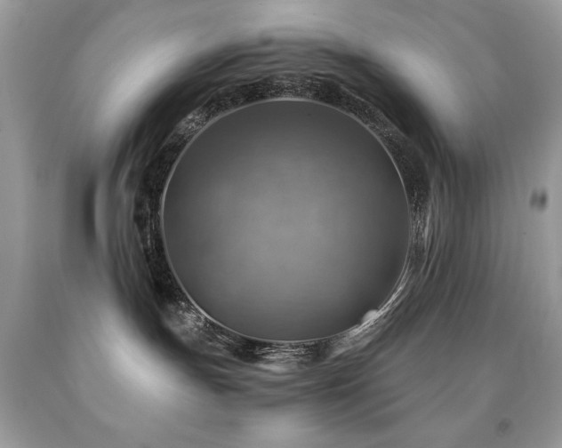 X0000091860191200709051216