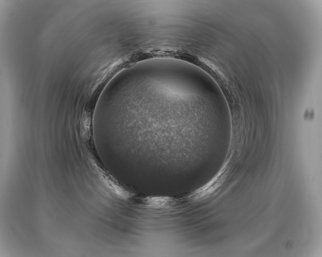 X0000091860192200709051216