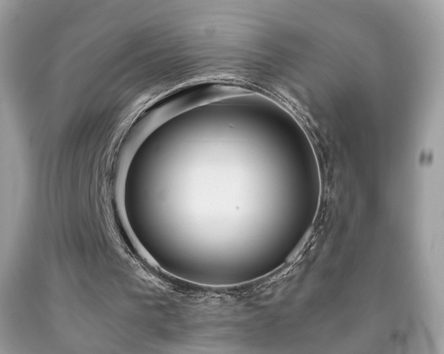 X0000091860193200709051215