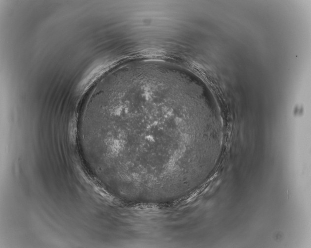 X0000091860194200709051215