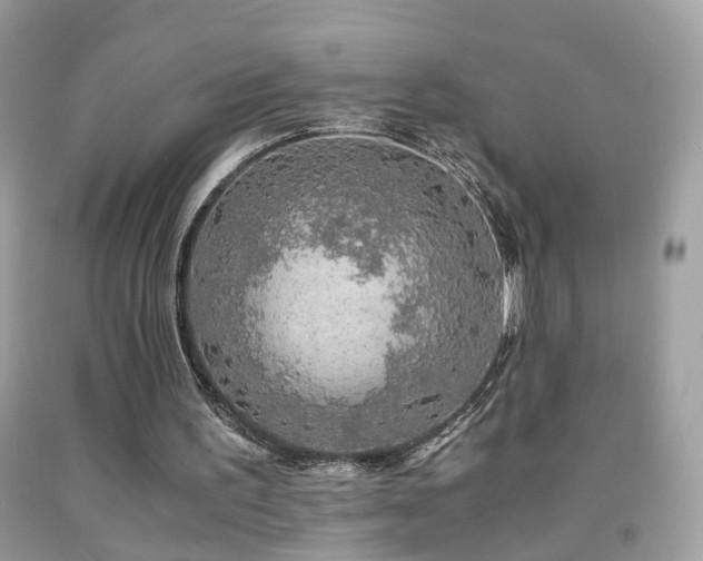 X0000091860195200709051215