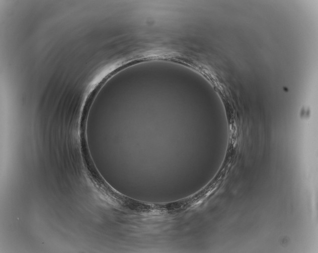 X0000091860196200709051215