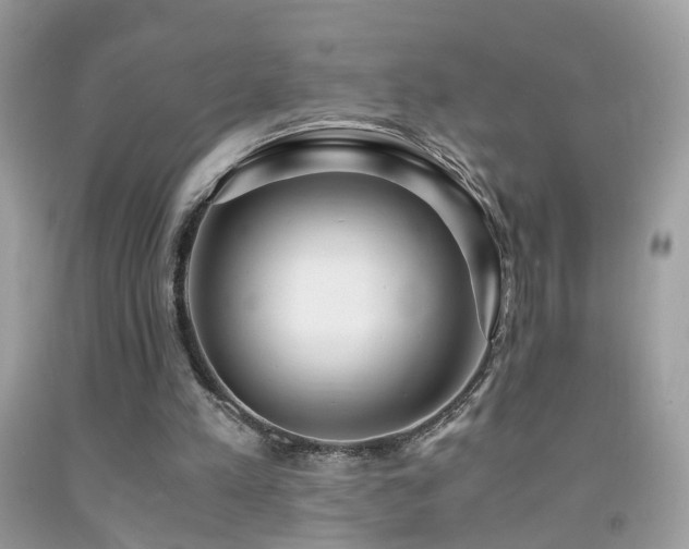 X0000091860197200709051215