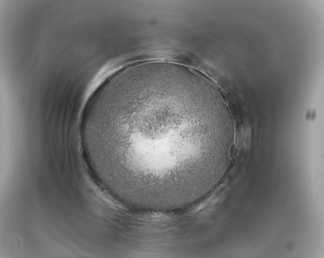 X0000091860198200709051215