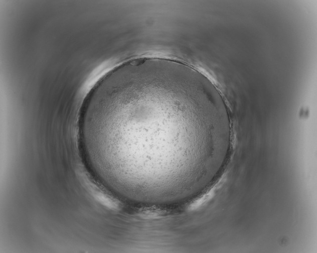 X0000091860199200709051215