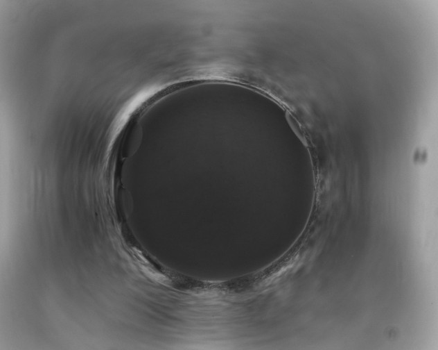 X0000091860200200709051215