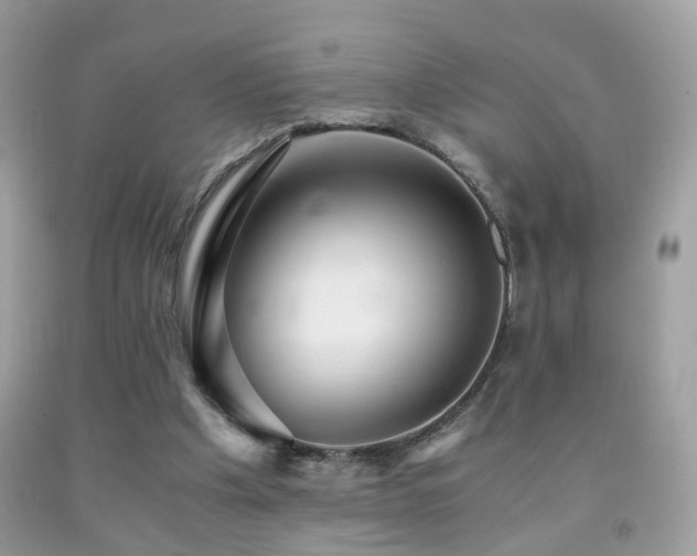 X0000091860201200709051215