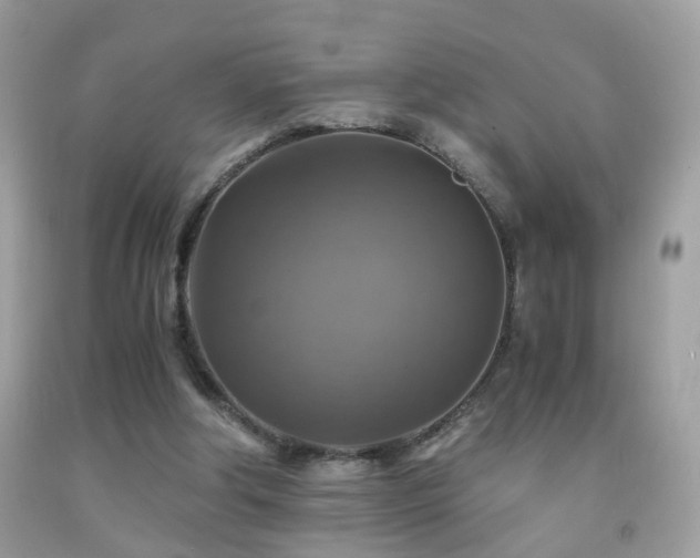 X0000091860202200709051215