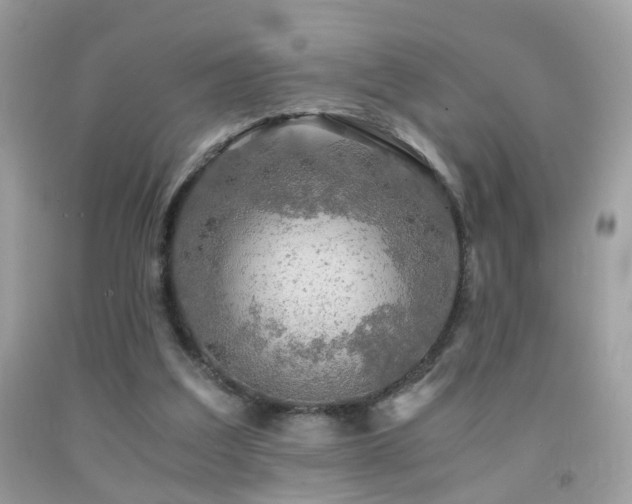 X0000091860203200709051215