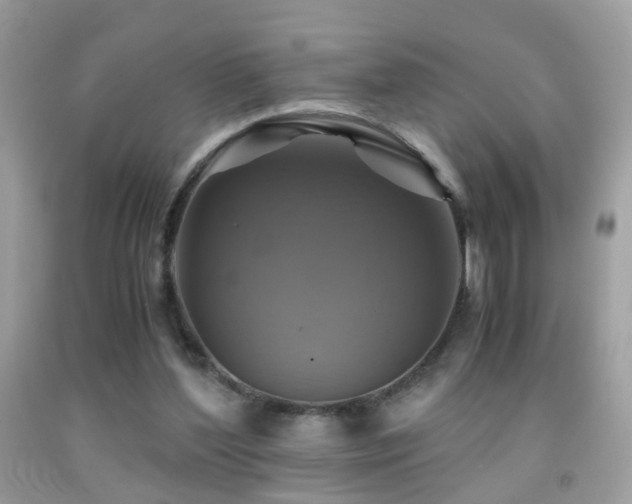 X0000091860204200709051215