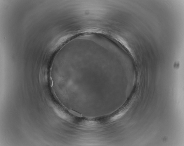 X0000091860205200709051215