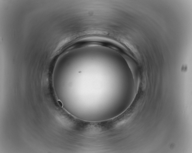 X0000091860207200709051215