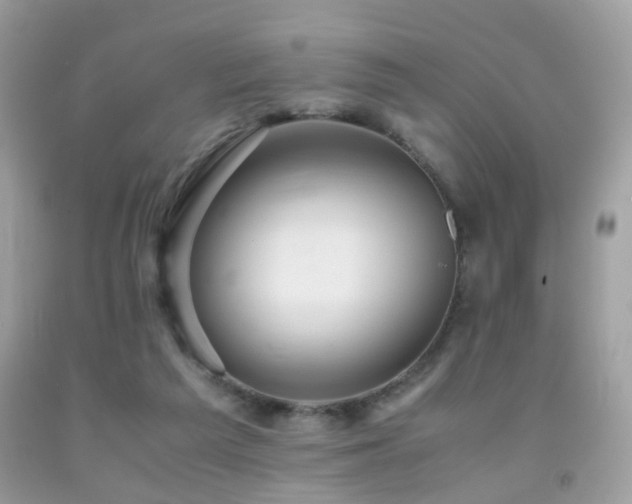 X0000091860209200709051215