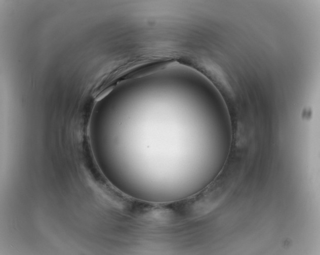 X0000091860210200709051215