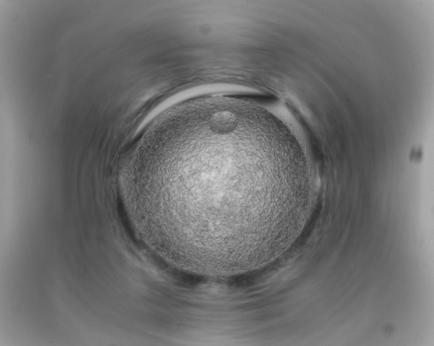 X0000091860211200709051215