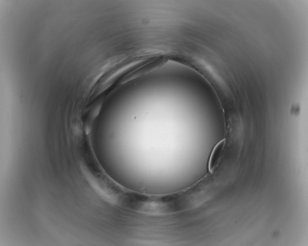 X0000091860212200709051215