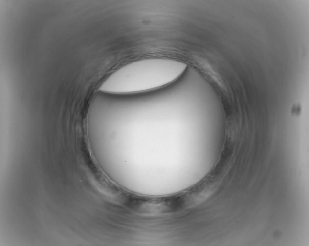 X0000091860213200709051215