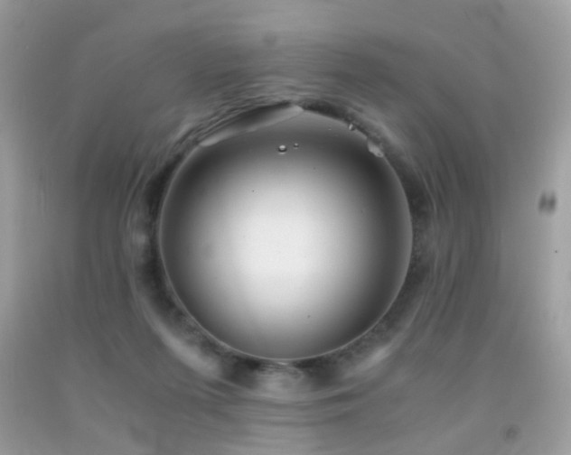 X0000091860215200709051215