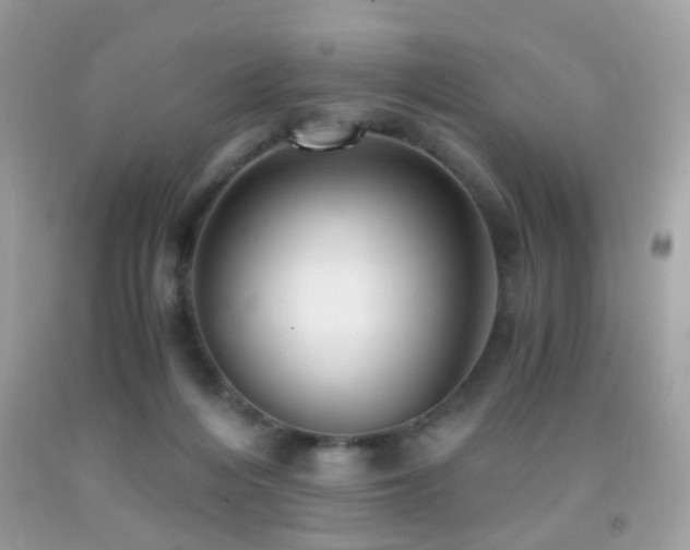 X0000091860216200709051215