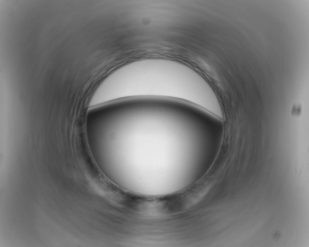 X0000091860217200709051215