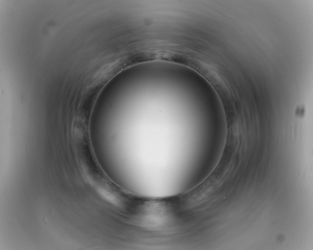 X0000091860218200709051215