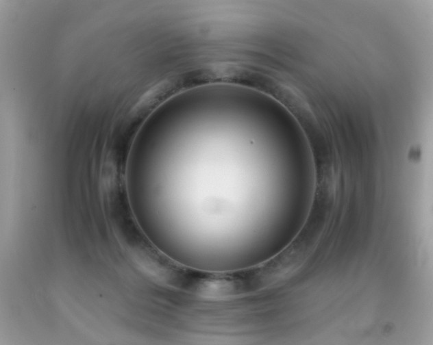 X0000091860220200709051215