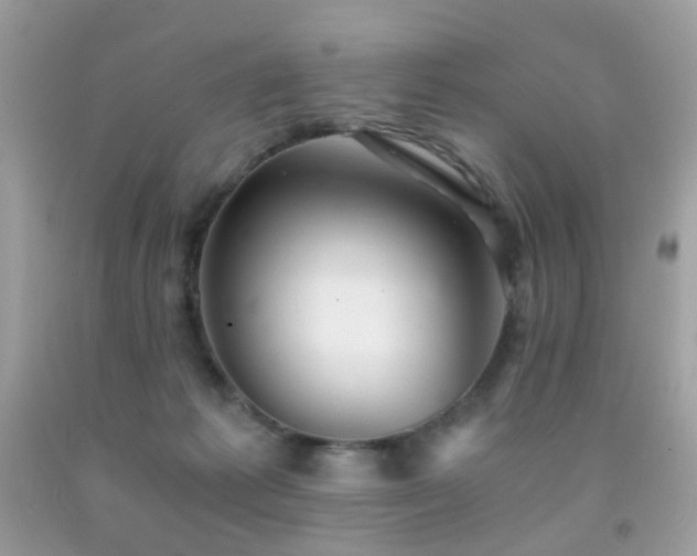 X0000091860221200709051215