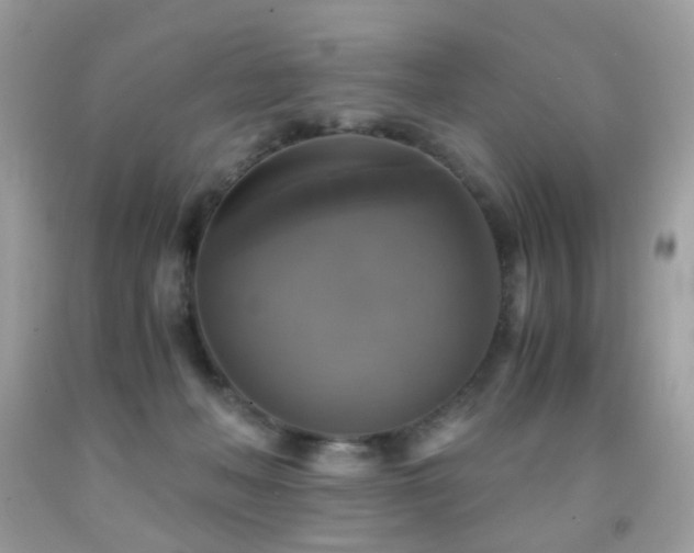 X0000091860222200709051215