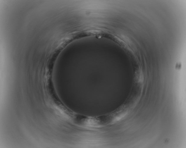 X0000091860223200709051215