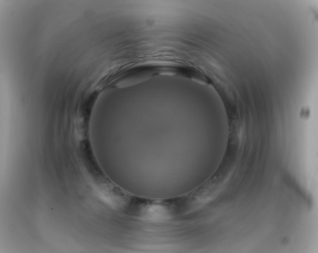 X0000091860224200709051215