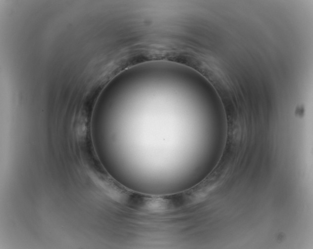 X0000091860226200709051215