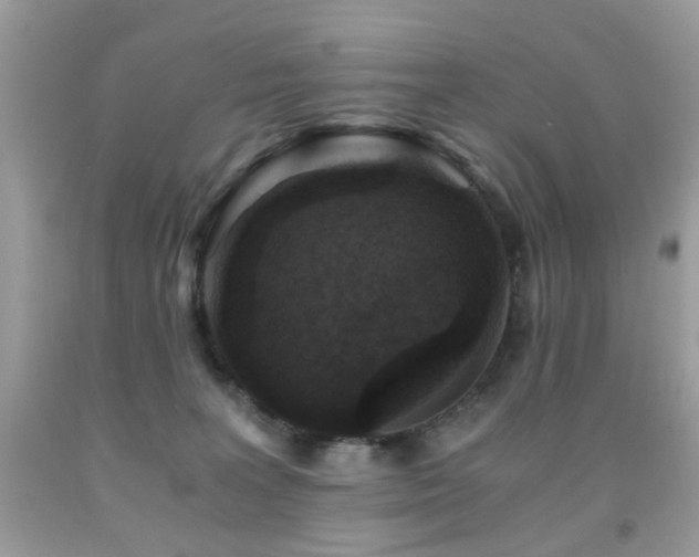 X0000091860227200709051215