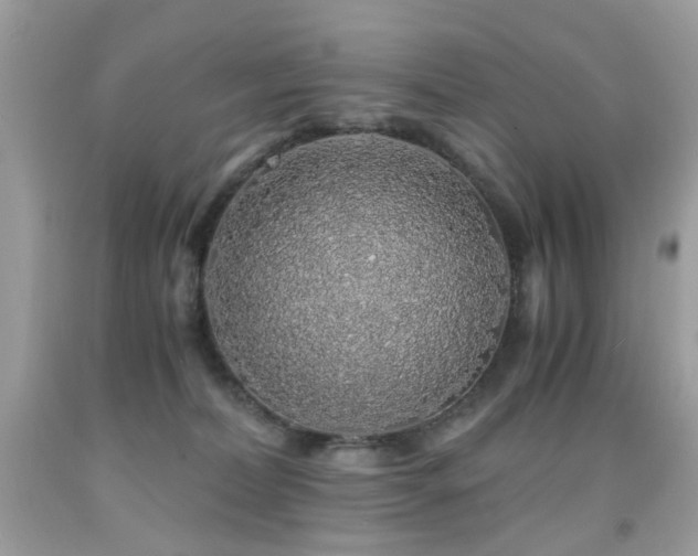 X0000091860228200709051215